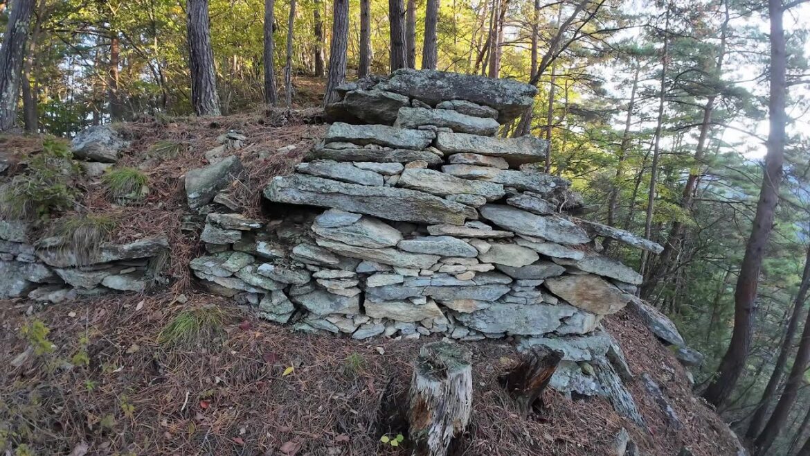 【4K】Matsuo Castle (Nagano) / 松尾城 (長野) 【4K】Matsuo Castle (Nagano) / 松尾城 (長野)