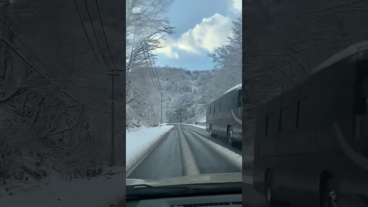 Travel @ Hokkaido Japan ❤️