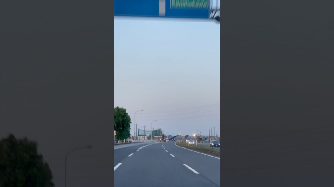 Long drive, Sendai to Narita.  #longdrive #japan #travel #shortsvideo