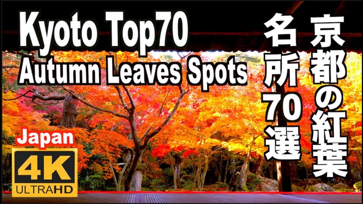 京都の紅葉70選 Kyoto 70 Top Autumn Leaves  京都観光 京都旅行 秋の京都 Japan trip 紅葉の名所 京都案内 Travel Guid Discover 京都の紅葉70選 Kyoto 70 Top Autumn Leaves  京都観光 京都旅行 秋の京都 Japan trip 紅葉の名所 京都案内 Travel Guid Discover