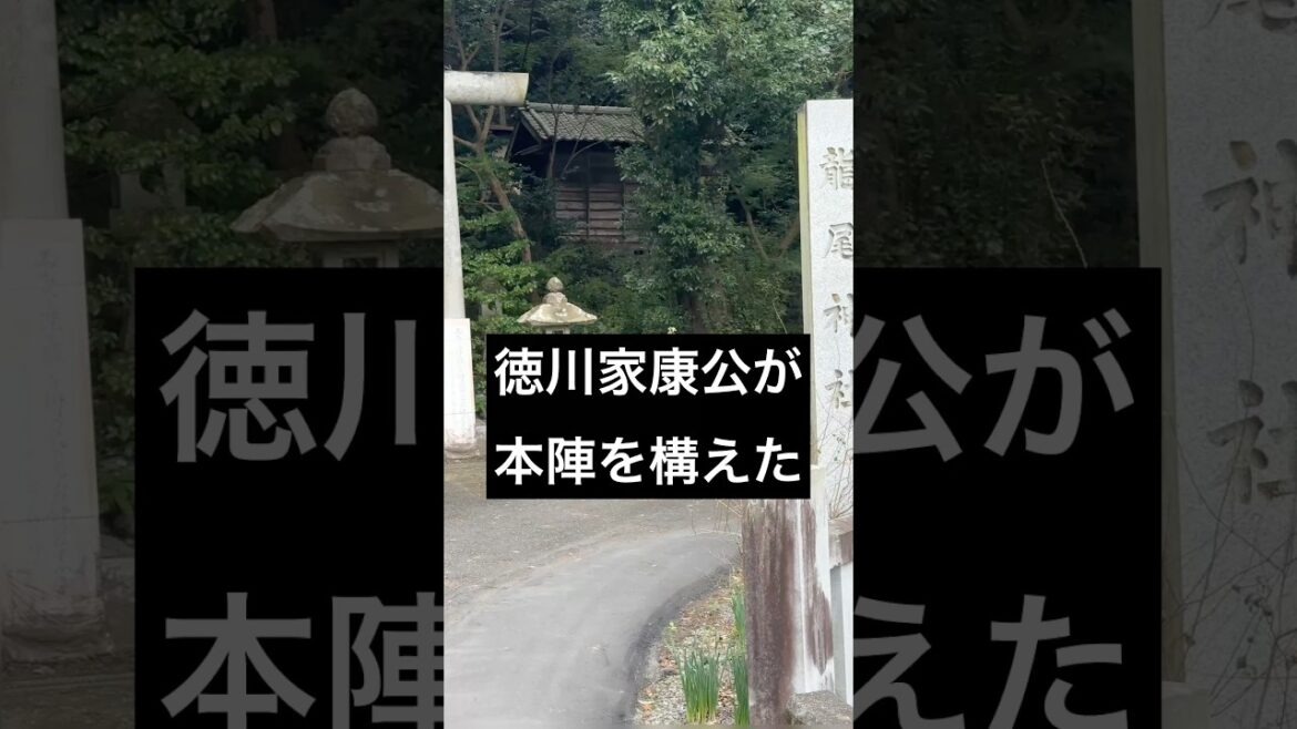 徳川家康やNHK大河ドラマ‟功名が辻”山内一豊（やまうちかずとよ）ゆかりの社