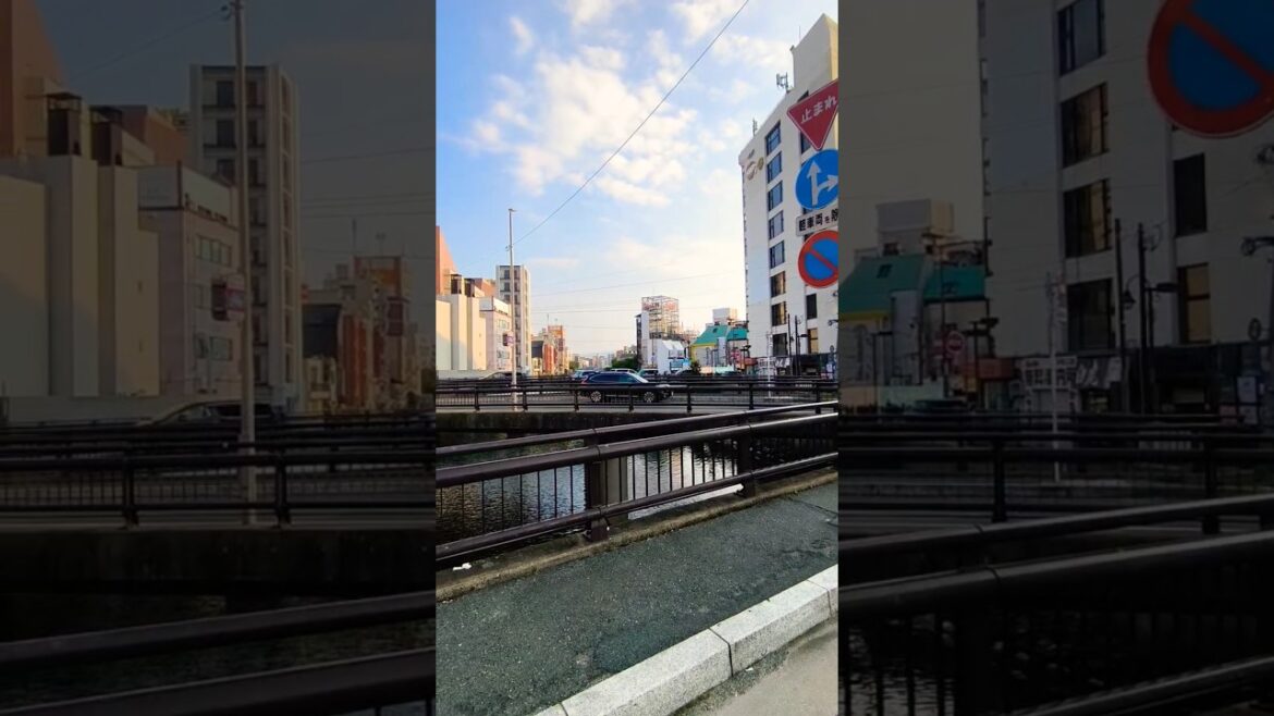 Fukuoka bridge #japan #travel