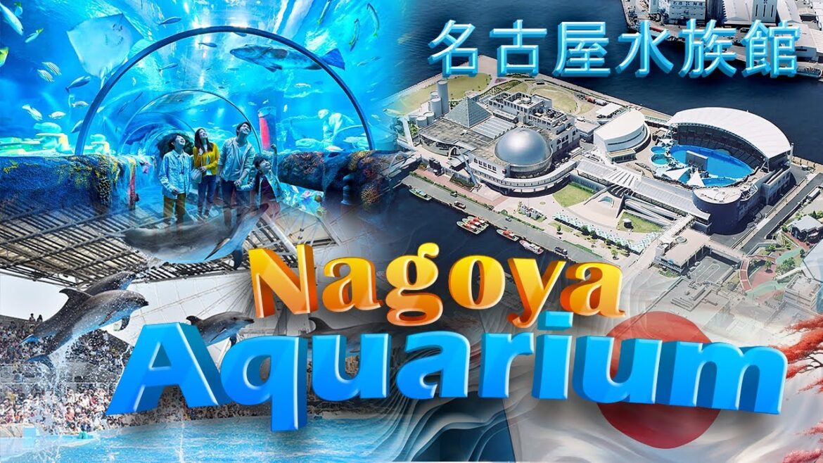 Exploring Nagoya Aquarium #japan |名古屋水族館 Exploring Nagoya Aquarium #japan |名古屋水族館