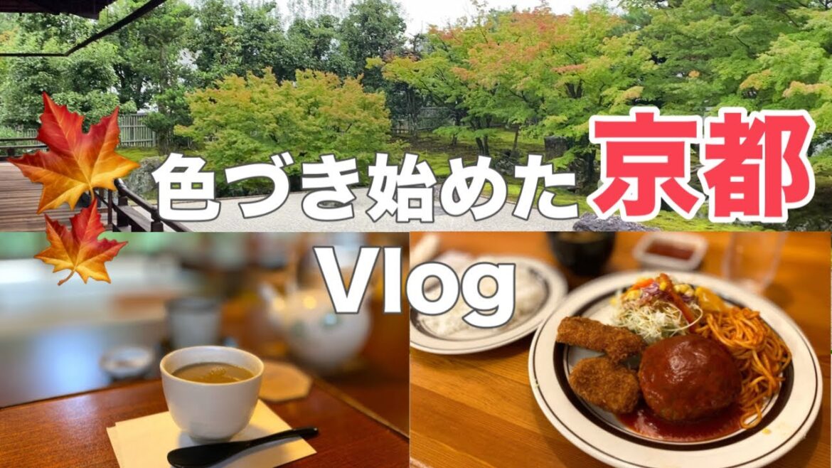 京都Vlog🍁紅葉が始まる庭園に癒される秋の京都!日帰り観光Vlogで巡るおすすめスポット 京都Vlog🍁紅葉が始まる庭園に癒される秋の京都!日帰り観光Vlogで巡るおすすめスポット