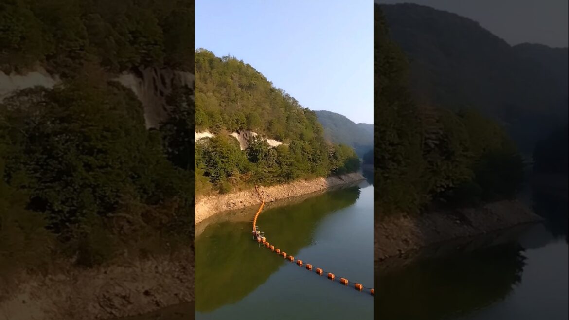 吉備中央町との境目にある自然豊かなダム