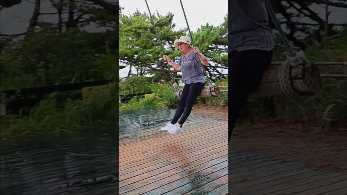 Himakajima Swing 241023