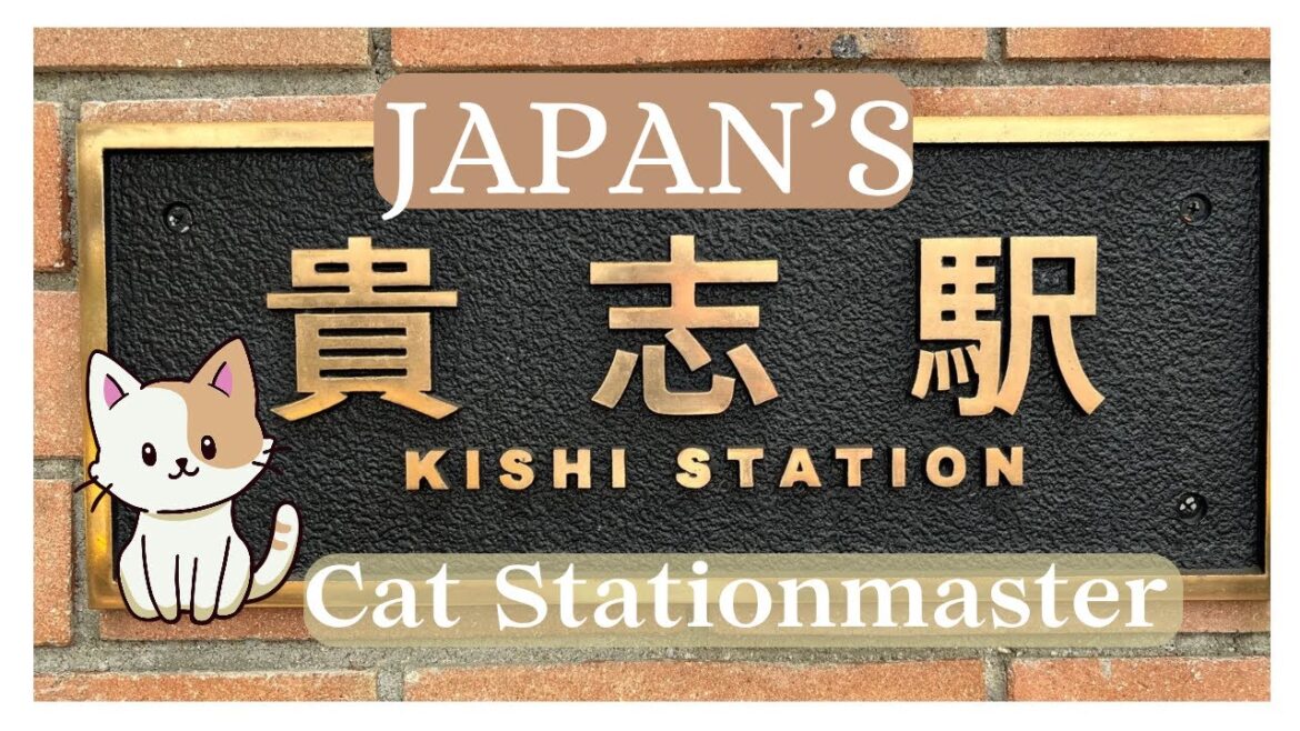 Japan's CAT Stationmaster | A Cat & a Castle