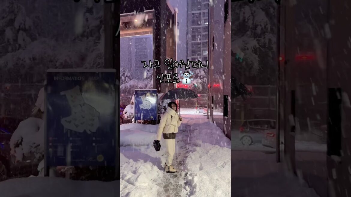 여기는 삿포로인가☃️| #폭설 로 시작하는 #첫눈 | 출근길 재난상황 | 결국 출근 포기 ㄷㄷ | 미리보는 #삿포로 #여행