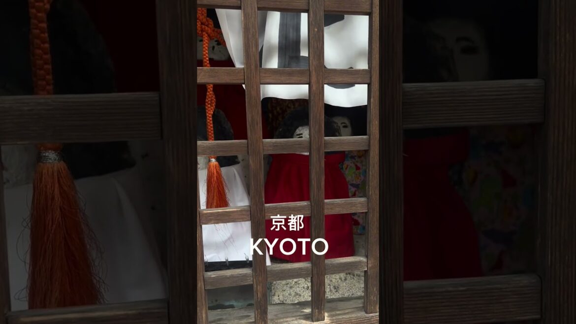 Little Goddess in Kyoto 京都