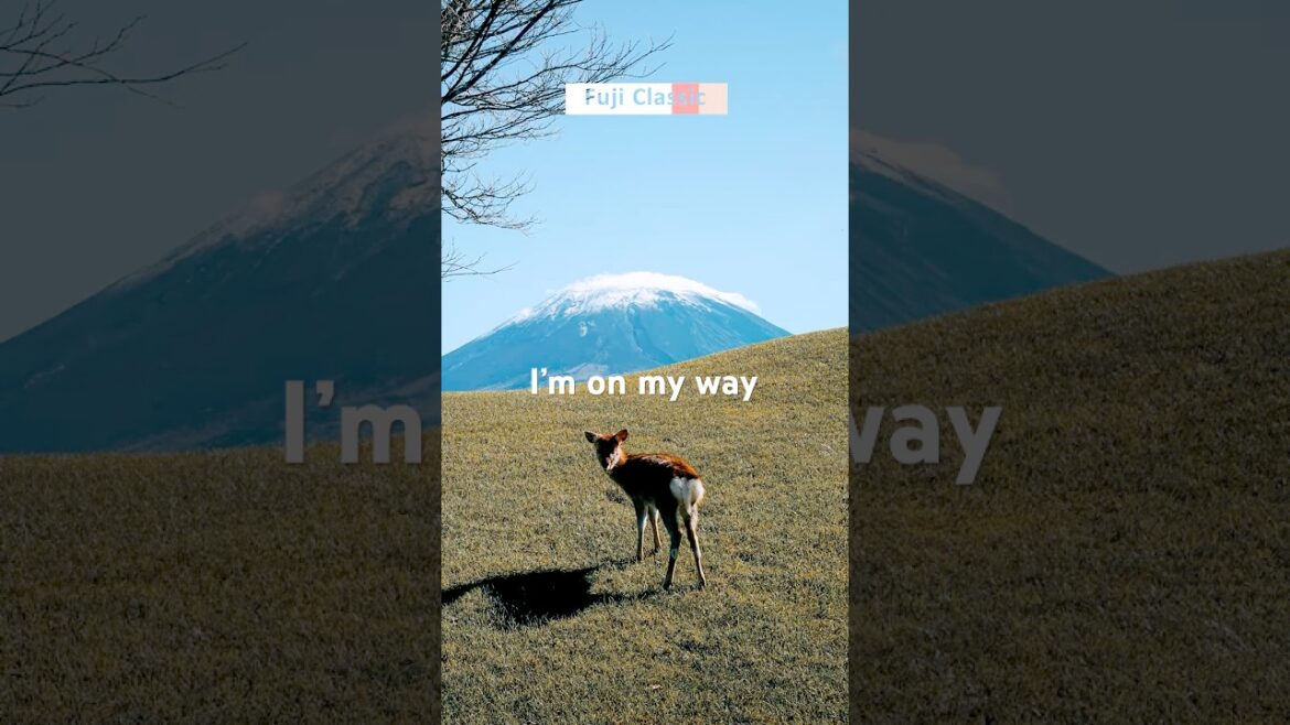 富士クラシック_후지클래식 _Fuji Classic CC _  17. Nov. 2024