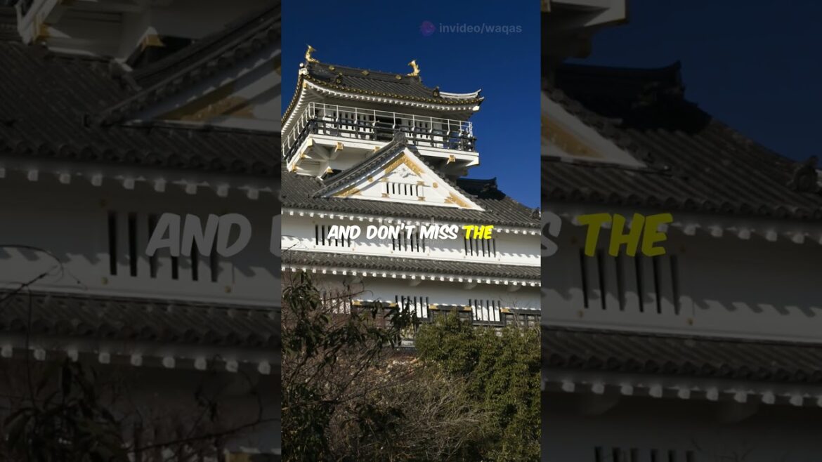 πΈ Discover Gifu, Japan: Journey Through Nature & Tradition π―β¨#trendingshorts #travel #takayama πΈ Discover Gifu, Japan: Journey Through Nature & Tradition π―β¨#trendingshorts #travel #takayama