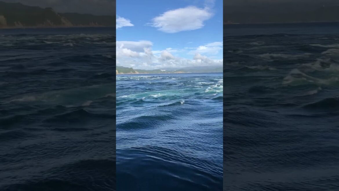 【Kobe】Must-See Tourist Attraction -Whirlpool Cruise