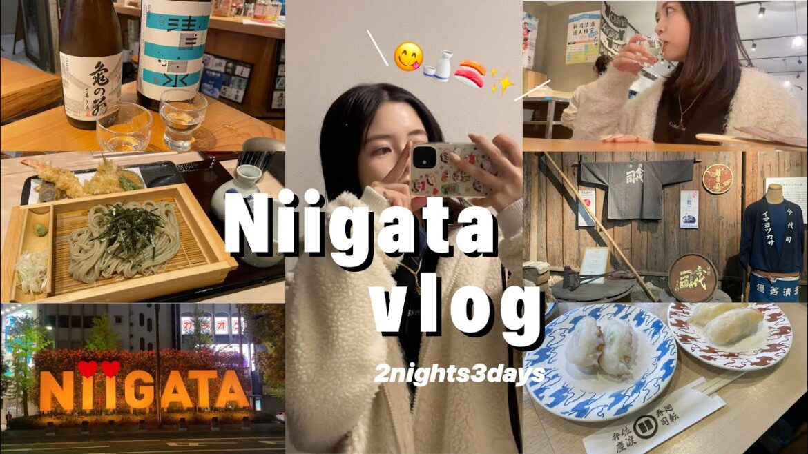 【#vlog 】新潟旅行vlog🍶🍣😋✨| 王道新潟人気スポットで食べて飲んでの3days🥰| 一人飲み|一人旅＆二人旅👩|人生初の酒造見学で記念写真🍶|信濃川お散歩🚶