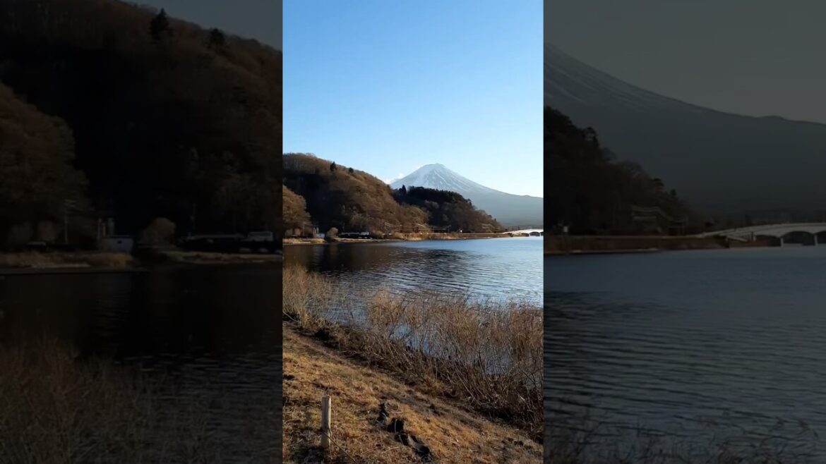 being honest in job interview