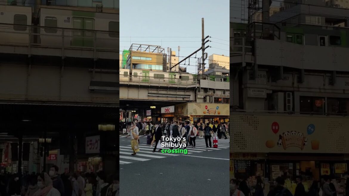 📍Tokyo, Japan 🇯🇵 #travel #beautifulview #explore #japan #tokyo #shorts 📍Tokyo, Japan 🇯🇵 #travel #beautifulview #explore #japan #tokyo #shorts