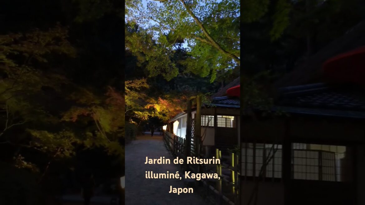 Jardin de Ritsurin illuminé, Kagawa, Japon #shorts #japon #jardin #voyage #tourisme #illumination