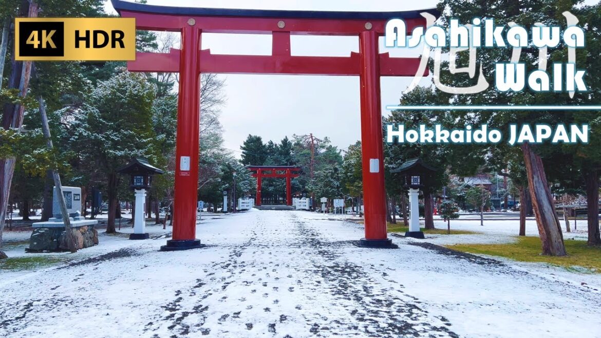 Early Winter Walk around Quiet Shrine and Park in Asahikawa | Hokkaido | Japan | 4K HDR