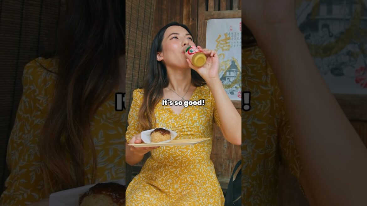 Get Ready to Find the HIDDEN GEM STREET FOOD in Shirakawa-go! Get Ready to Find the HIDDEN GEM STREET FOOD in Shirakawa-go!