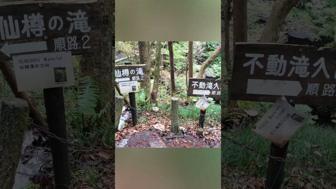 付知峡不動公園＜中津川市＞｜HTC ドライブ観光スポット