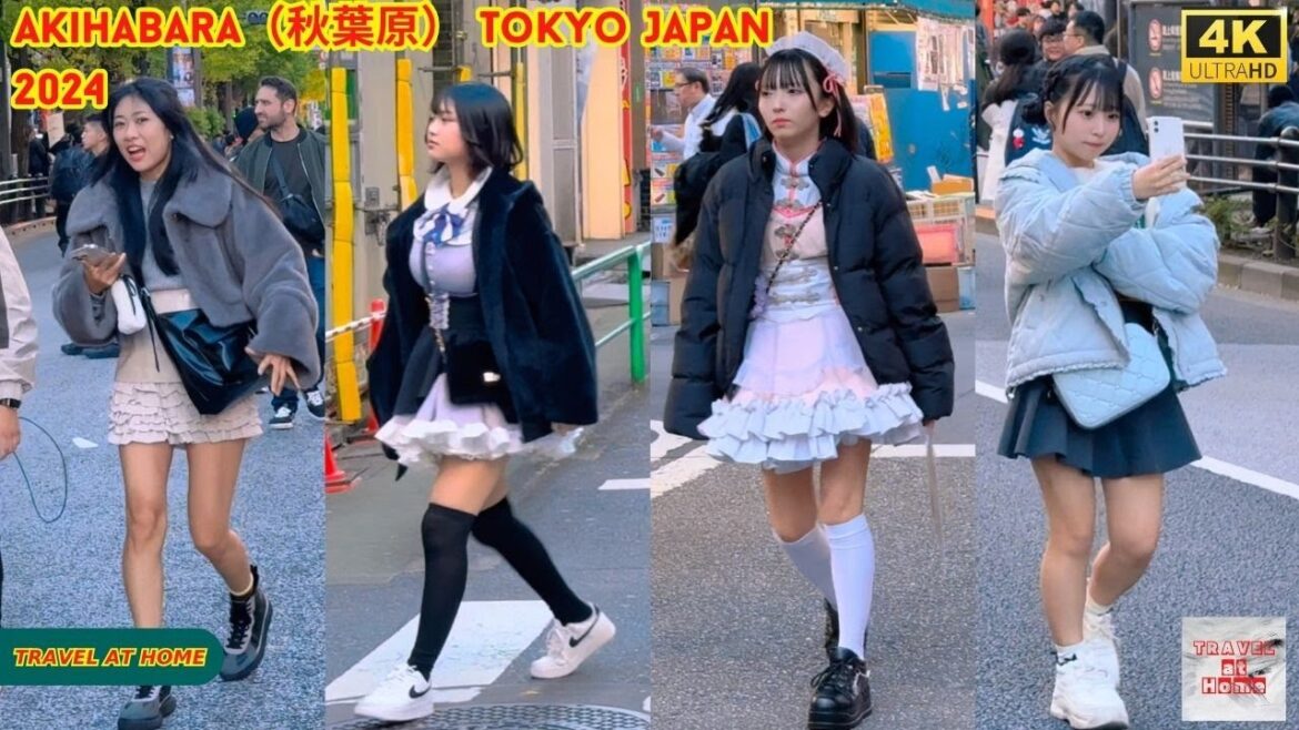 4k hdr japan travel 2024 | Walk in Akihabara（秋葉原）Tokyo Japan |  Relaxing Natural City ambience
