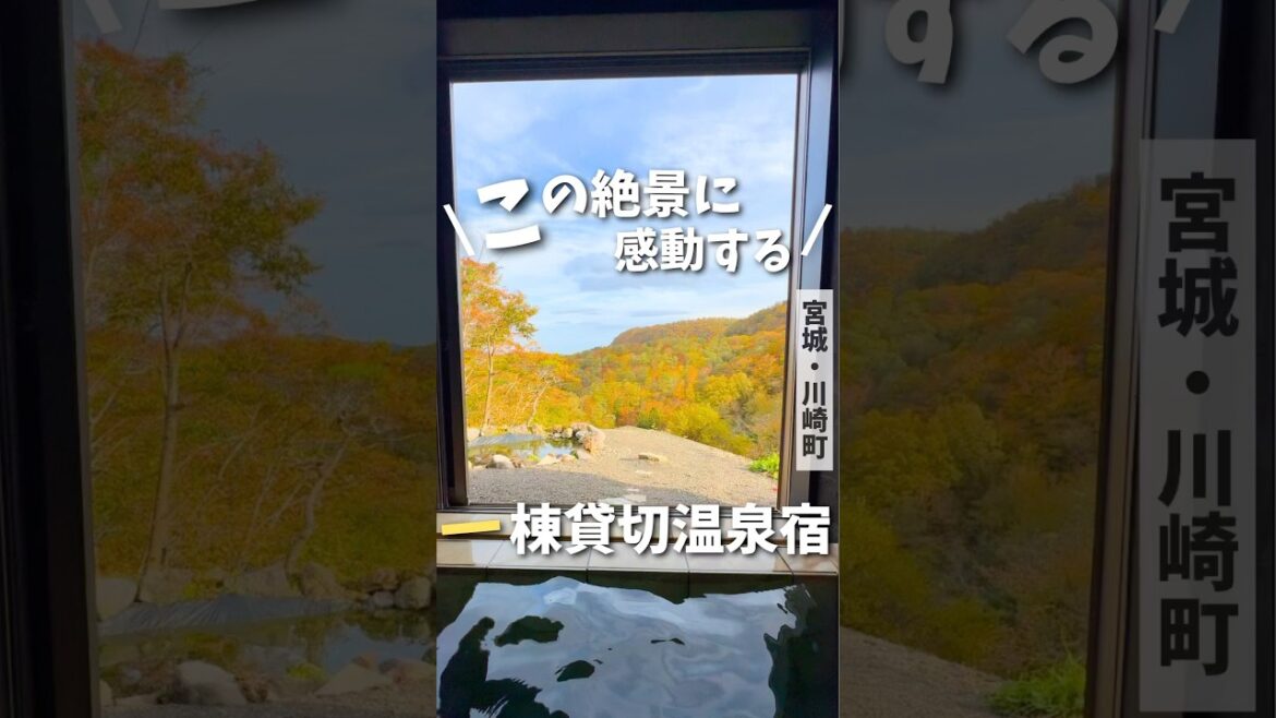 【宮城温泉】この絶景に感動する✨完全プライベート温泉宿♨️#宮城旅行 #宮城観光 #青根温泉 #温泉 #japantravel #japantrip #onsen #ryokan #shorts