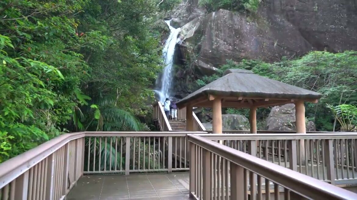 Approaching the Base of the Todoroki Waterfall Approaching the Base of the Todoroki Waterfall