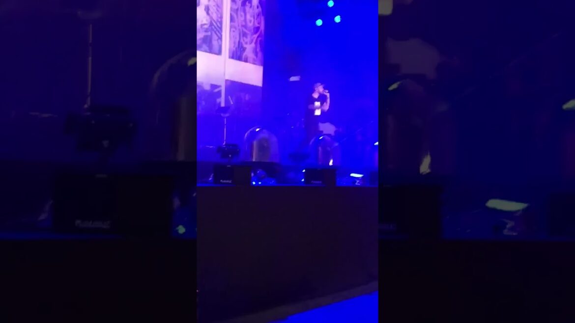 Mike Shinoda - Petrified (Live at Weird Music Festival), Nagoya, JP 2019 - Post Traumatic Asian Tour