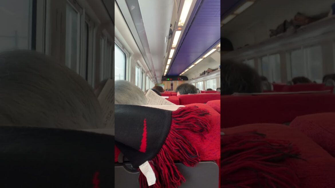 Day Trip Sapporo to Asahikawa to see the Penguin Parade | Ltd express soya train | Snowy morning Day Trip Sapporo to Asahikawa to see the Penguin Parade | Ltd express soya train | Snowy morning