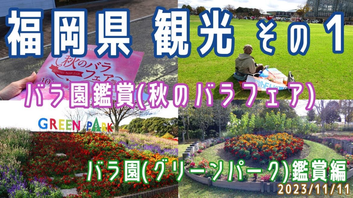 【福岡観光(日帰り)#1】バラ園 鑑賞(グリーンパーク/園内散策/クラフトバーガーフェス/バラ園(秋のバラフェア))※2023.11.11