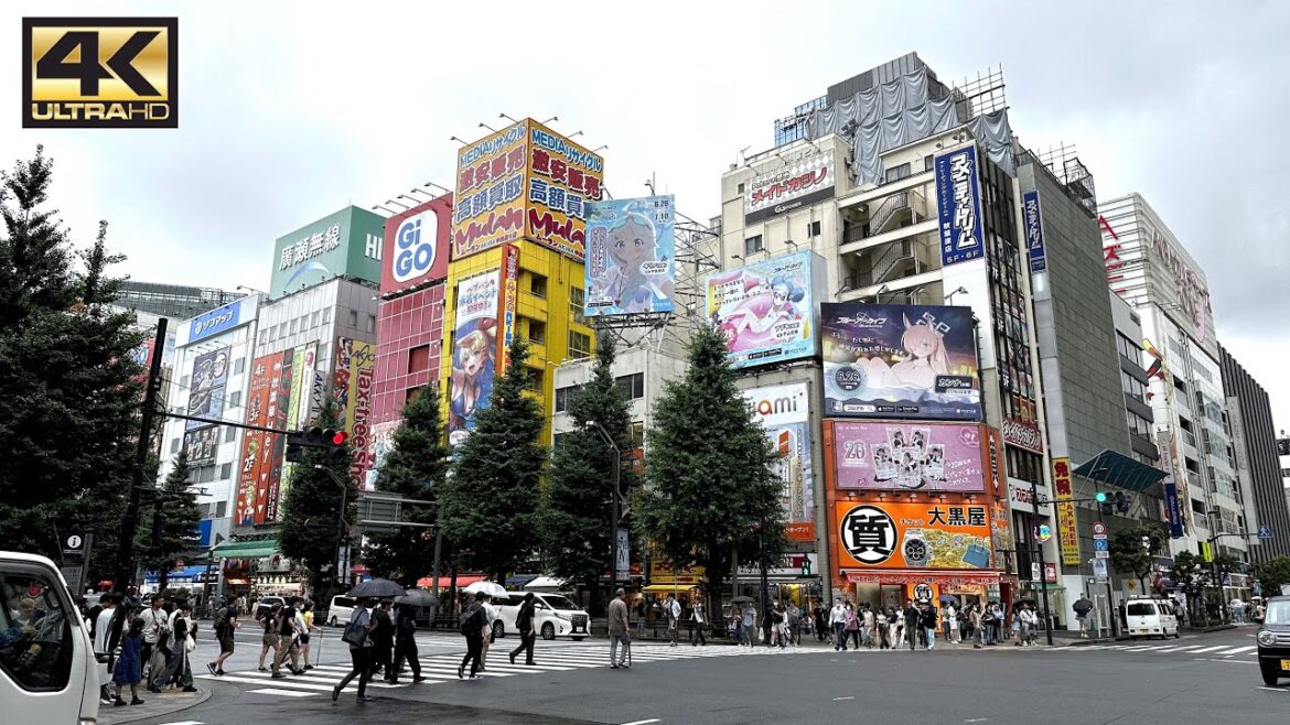 EXPLORE Akihabara Anime Gaming District in Tokyo | Walking Tour Japan EXPLORE Akihabara Anime Gaming District in Tokyo | Walking Tour Japan