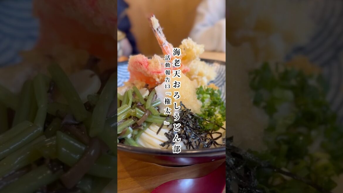 海老天おろしうどん部活動報告13『手打ちうどん権田太』 #浜松ランチ #浜松グルメ #海老天おろしうどん部 海老天おろしうどん部活動報告13『手打ちうどん権田太』 #浜松ランチ #浜松グルメ #海老天おろしうどん部