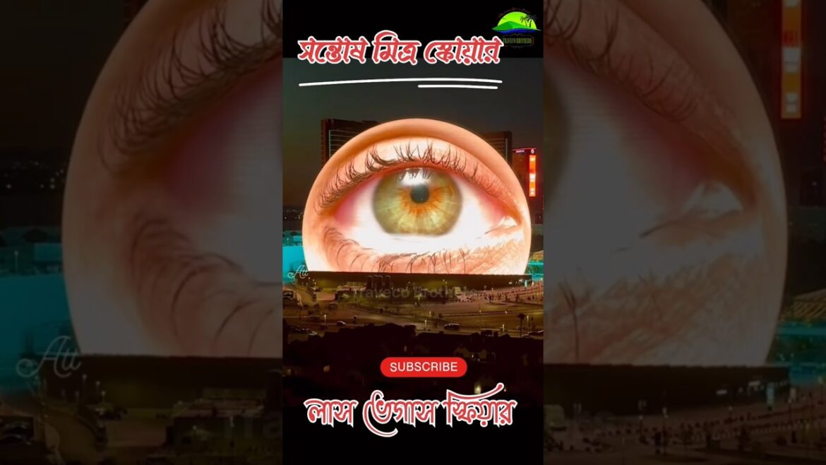 Santosh Mitra Square Durga Puja 2024 | সন্তোষ মিত্র স্কোয়ার দূর্গা #shorts #durgapuja Santosh Mitra Square Durga Puja 2024 | সন্তোষ মিত্র স্কোয়ার দূর্গা #shorts #durgapuja