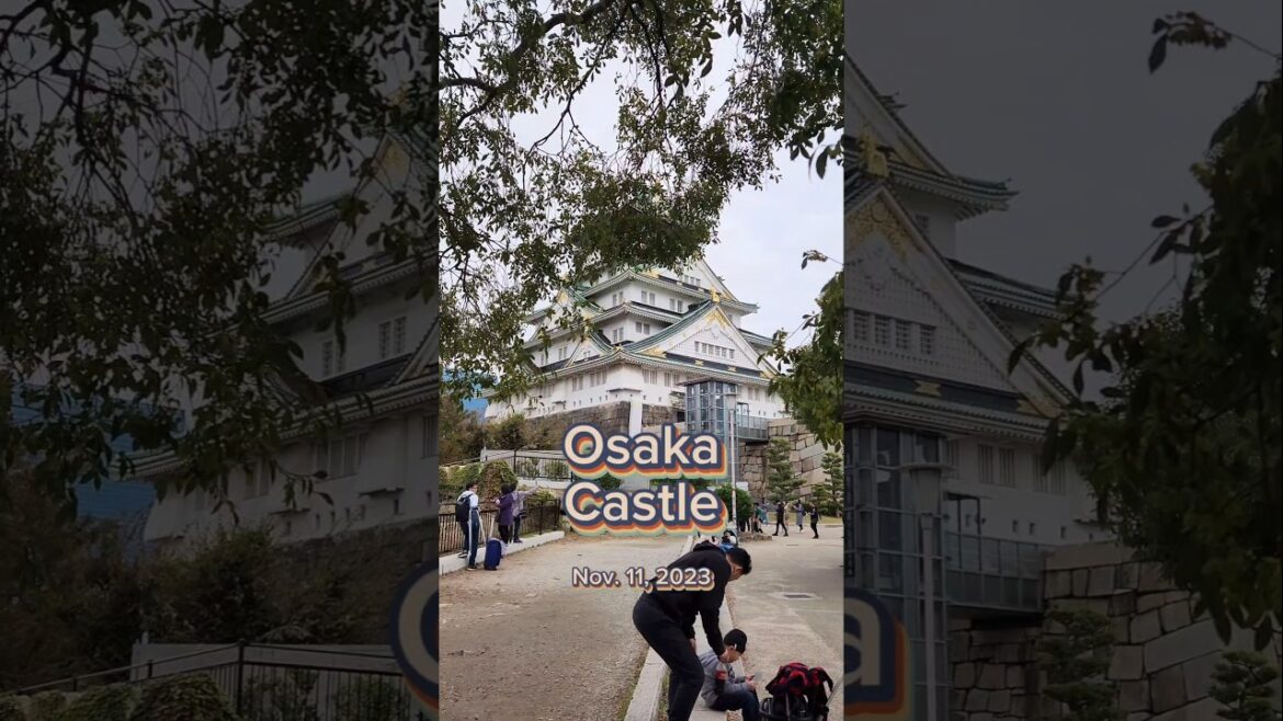 OSAKA CASTLE | November 2023
