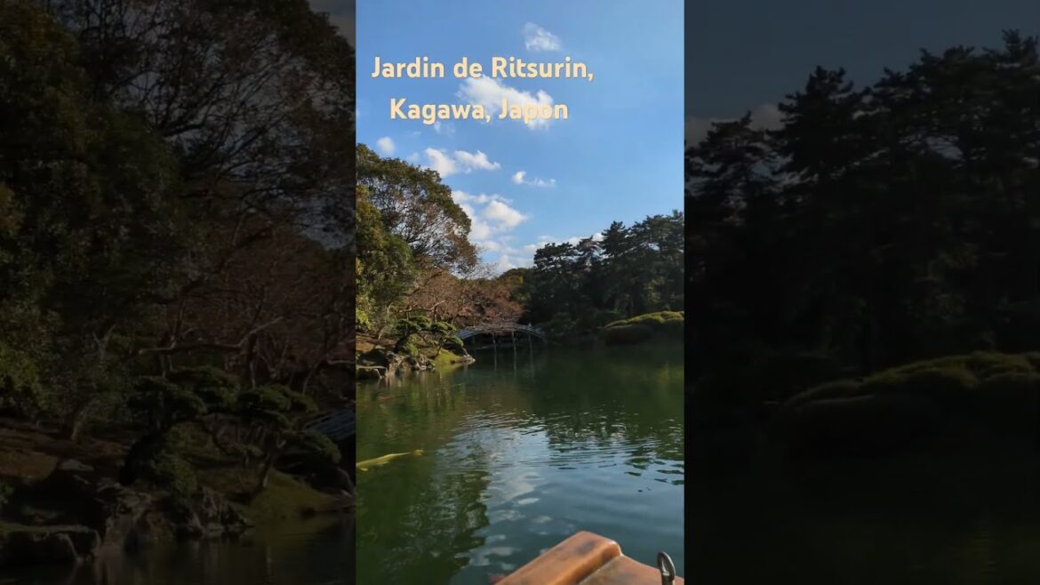 Jardin de Ritsurin, Kagawa, Japon #shorts #nature #relaxing #japon #voyage #tourisme
