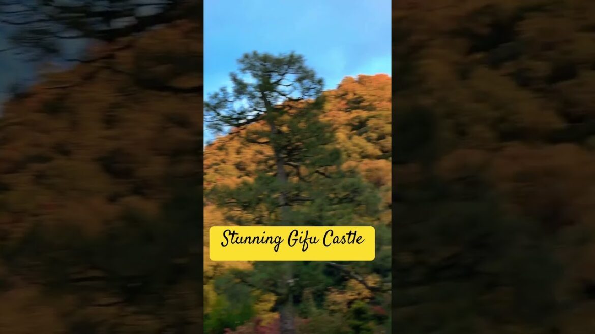 Gifu Castle In Autumn 🍂 stunning #shorts #autumn