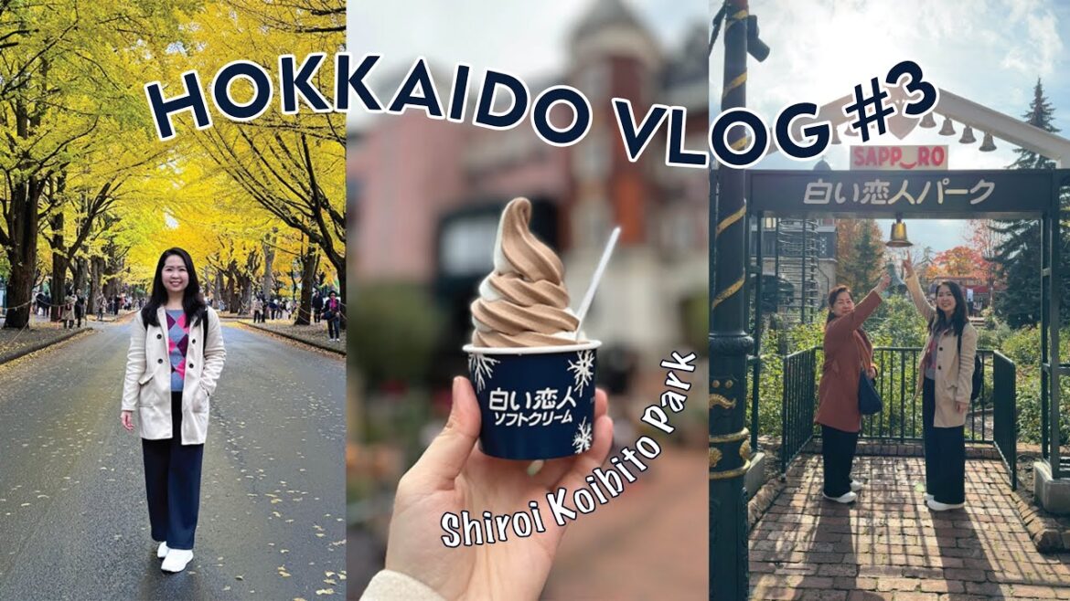 HOKKAIDO – Visited Ginkgo Avenue, Shiroi Koibito Park, Kani Honke and Otaru Music Box Museum HOKKAIDO - Visited Ginkgo Avenue, Shiroi Koibito Park, Kani Honke and Otaru Music Box Museum