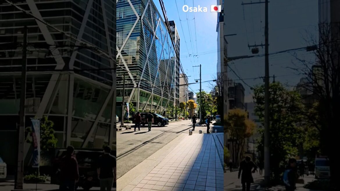 Walking Tour Osaka #travel #japan #japantour #reels #shorts #youtubeshorts #osaka  #walking