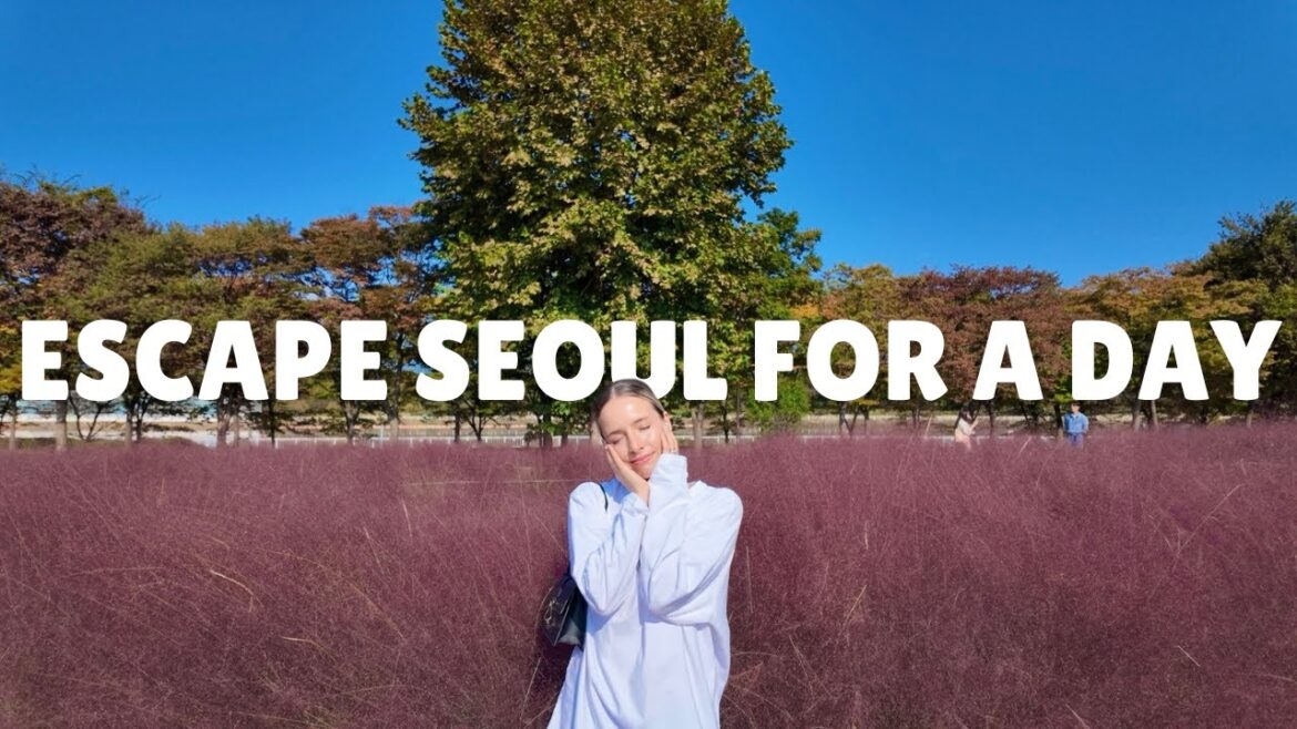 ๐ฐ๐ทHanam-Si date course! | Pink muhly, Shopping & more things to do ๐๐๐๏ธ ๐ฐ๐ทHanam-Si date course! | Pink muhly, Shopping & more things to do ๐๐๐๏ธ