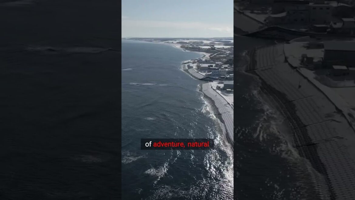 A Cultural Adventure Like No Other! #fyp #viralvideo #shorts #youtubeshorts #travel #viralshort