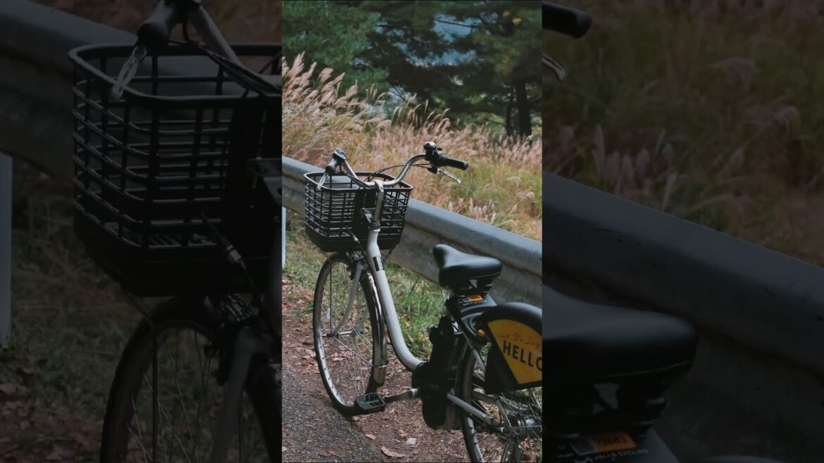 Autumn in Japan: Fujikawaguchiko #japantravel #kawaguchiko #lifeinjapan