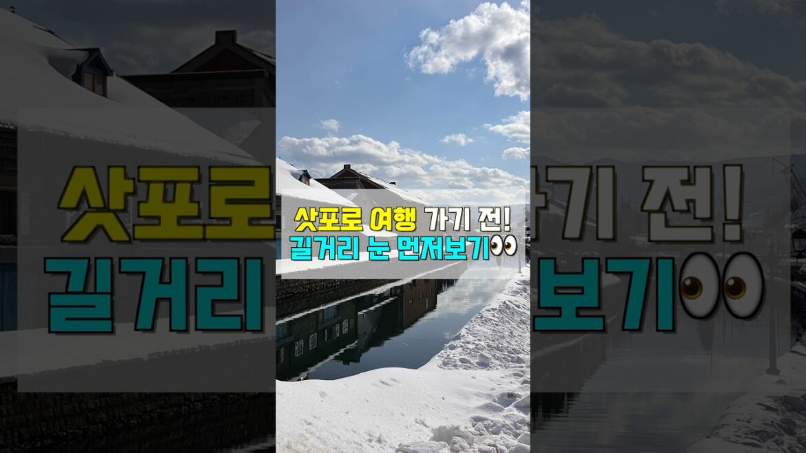 🇯🇵삿포로 여행 계획중이세요? 거리에 눈은 이렇게나 많아요..😳 #shorts