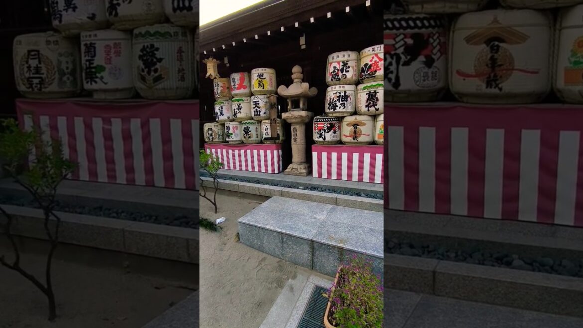 Artsy Sake Barrels 酒樽 in Kushida Shrine 櫛田神社 #sake #sakebarrels #酒樽