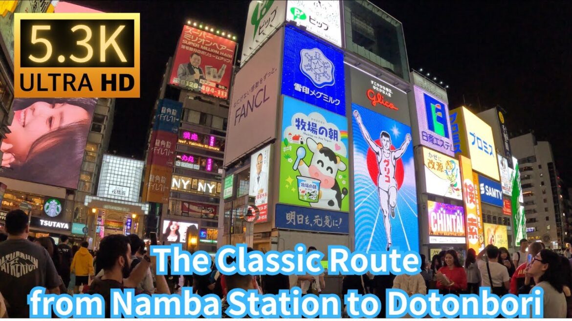 The Classic Route from Namba Station to Dotonbori Osaka Japan【5.3K/HDR】 The Classic Route from Namba Station to Dotonbori Osaka Japan【5.3K/HDR】