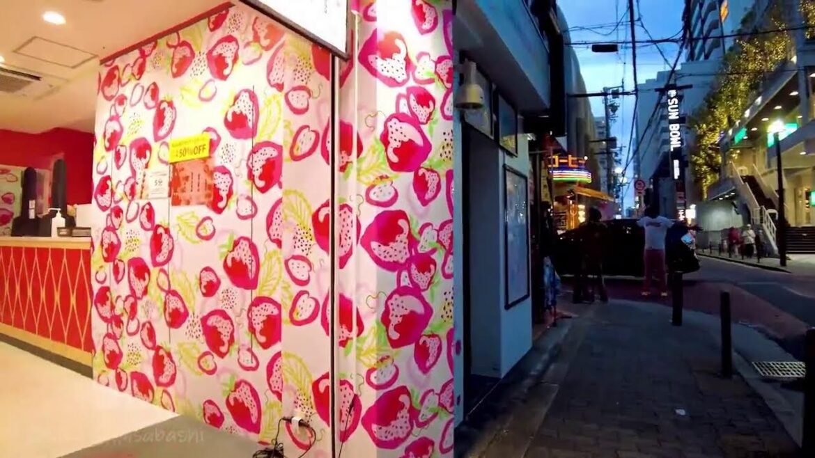 🔴Japan West Walk♪ 24/7🍣🐶Osaka, Kyoto, Hakata.etc💝 🔴Japan West Walk♪ 24/7🍣🐶Osaka, Kyoto, Hakata.etc💝