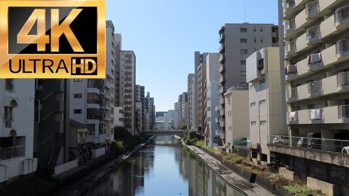 Nagoya Japan on a Mild Winter’s Day Nagoya Japan on a Mild Winter's Day