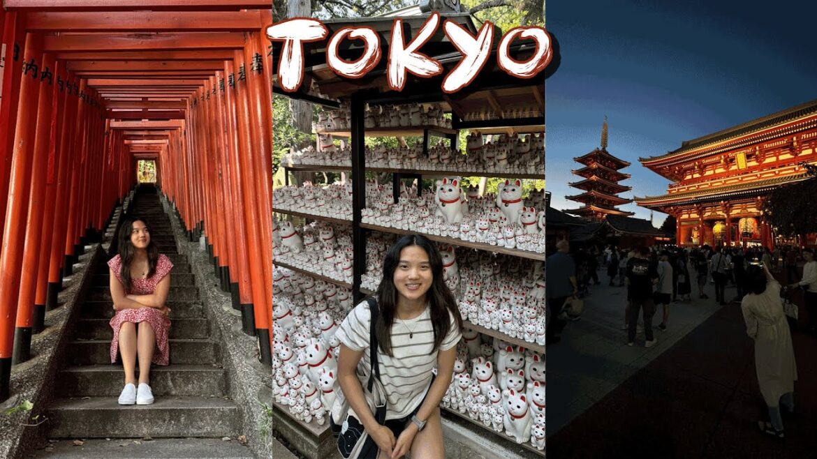 TEMPLES, CATS, AND SHRINES IN TOKYO // Japan Solo Travel 2024 // [1]
