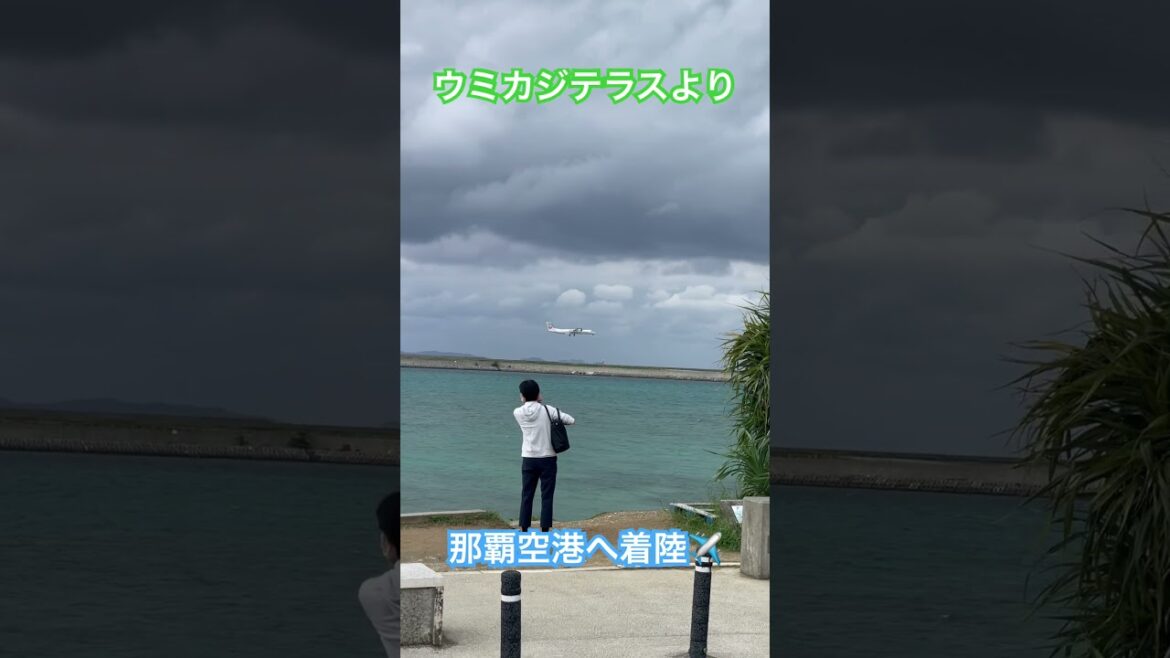 沖縄「ウミカジテラス」より🌊那覇空港へ着陸✈️