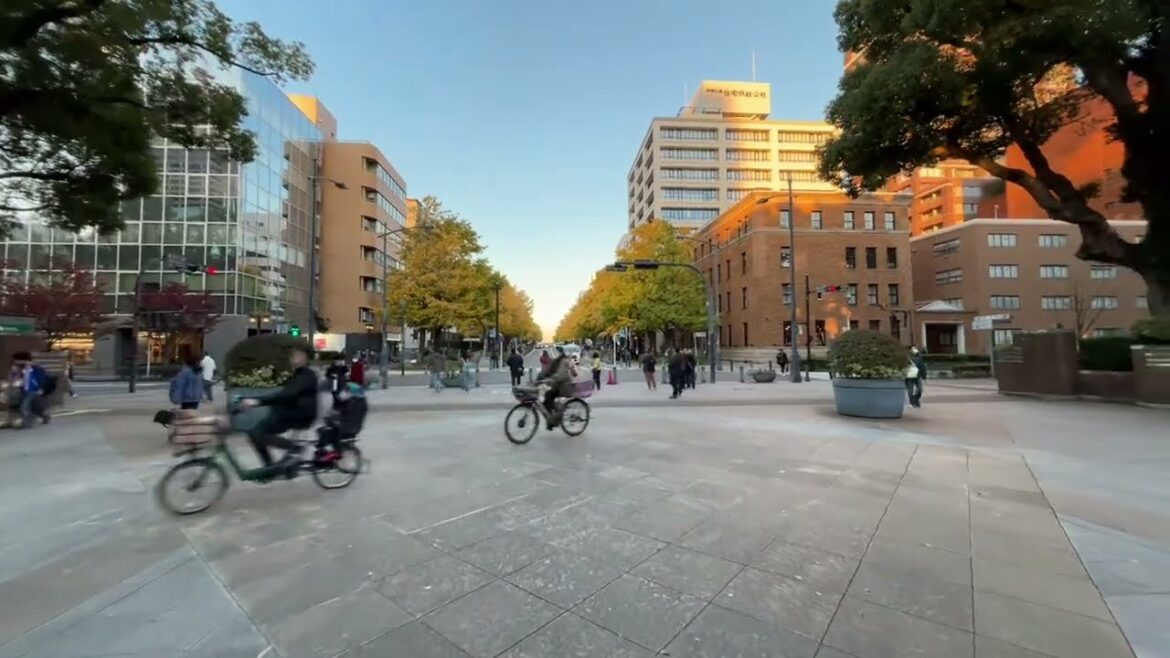 Yokohama Evening walk - Japan livestream 🔴