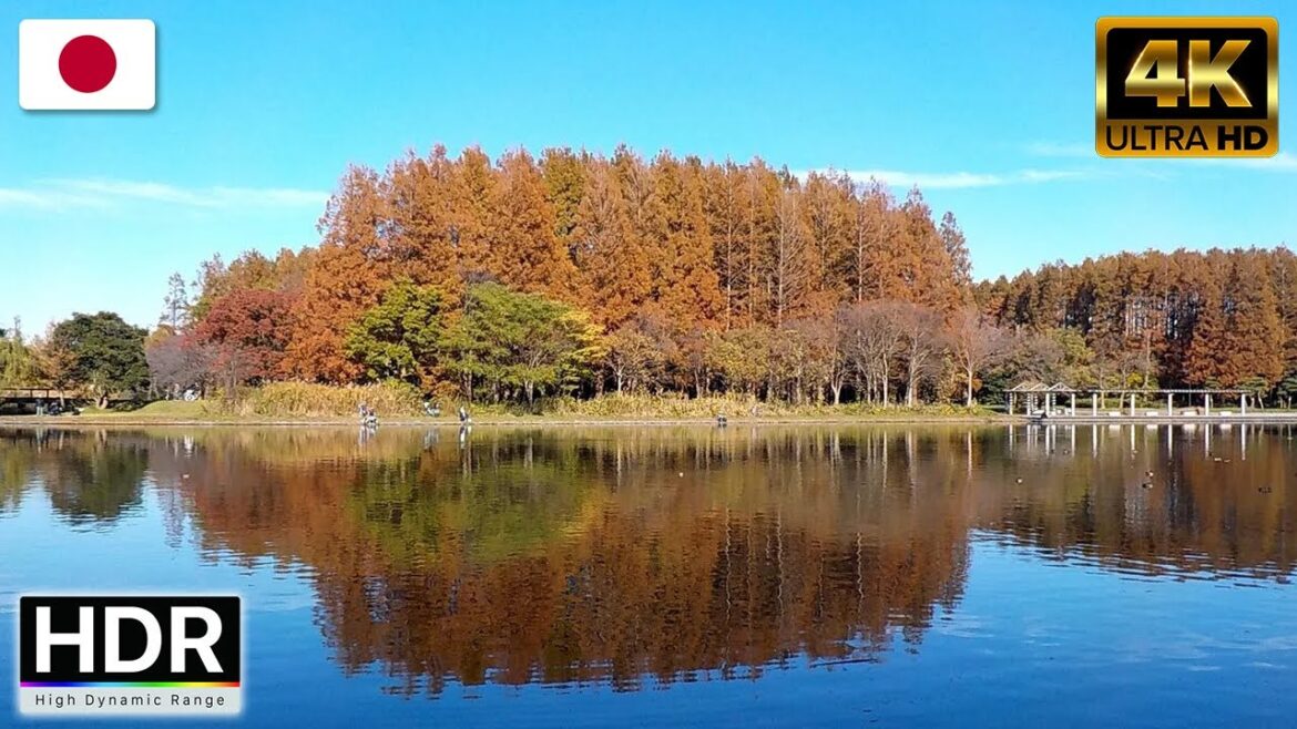 Walking Tour- Winter Day Trip to Mizumoto Park: Tokyo's Hidden Nature Gem-city walk-japan[ 4K HD ]