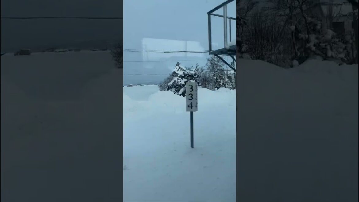 The Journey to Asahikawa continues | The pure snow white view from the train window is spectacular